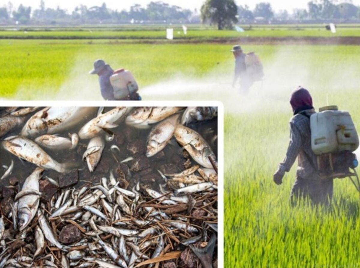 نظارت بر صید غیرمجاز: وعده‌های روی کاغذ یا عملی واقعی در دریا