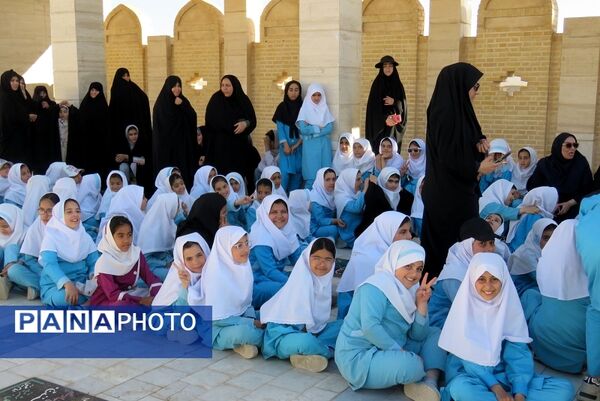 استقبال از خادمان حرم حضرت فاطمه معصومه (س) در شهر درق