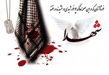 دیدار دانش‌آموزخبرنگاران پانا فیروزآباد با خانواده شهید منوچهر اکبری