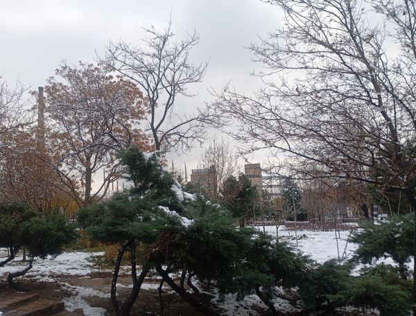 بارش برف در شهر زیبای مشهد 