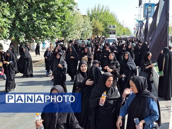 پیاده‌روی جاماندگان اربعین حسینی در مرودشت 