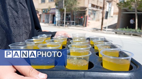 موکب‌هایی به وسعت دل‌های بی‌قرار در شب و روز شهادت