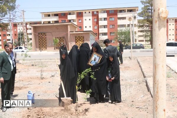 غرس دویست نهال به یاد شهدای جنگ رمضان در پایگاه هوانیروز کرمان