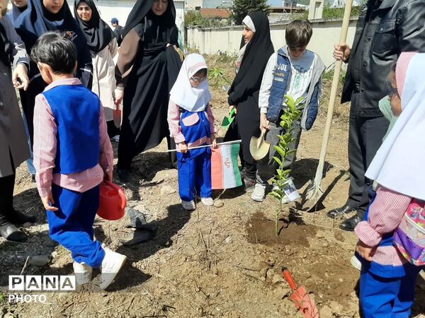 کاشت ۴۰ اصله نهال  به مناسبت چهلمین روز شهادت‌ قائد امت اسلامی ودانش آموزان میناب در تالش