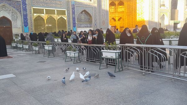چهارشنبه‌ زیارتی خاص در حرم امام رضا(ع)؛ تولد امام جواد(ع) و زیارت