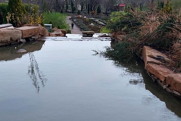 باغ گل ها در شهر گل ها شیراز