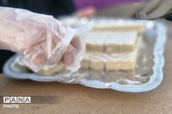 دومین روز از موکب پذیرایی و فرهنگی مسجد جامع آبشناسان از عید غدیر تا عید مباهله