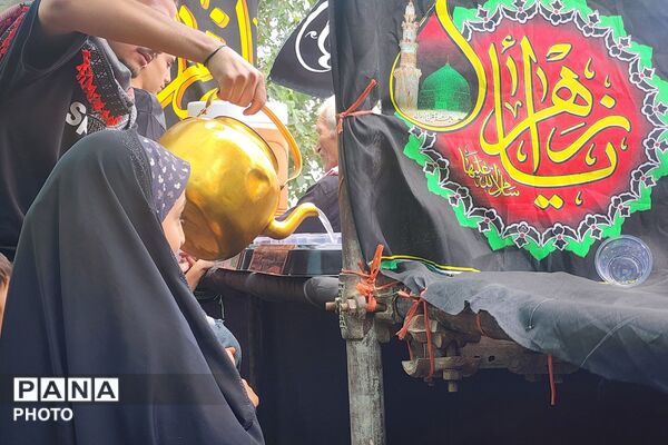 عاشورایی دیگر در سوگ سیدالشهدا