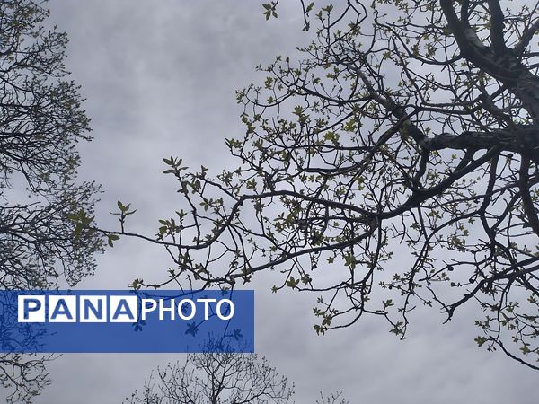 سیزده بدر، نقاشی رنگارنگ طبیعت را بر بوم تصاویر رقم زد