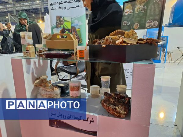 روز سوم از نمایشگاه پژوهش و فناوری در مشهد