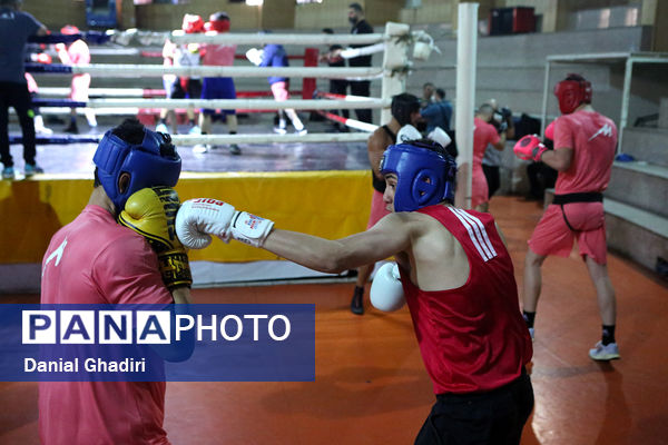 اردوی تیم ملی بوکس امید جمهوری اسلامی ایران