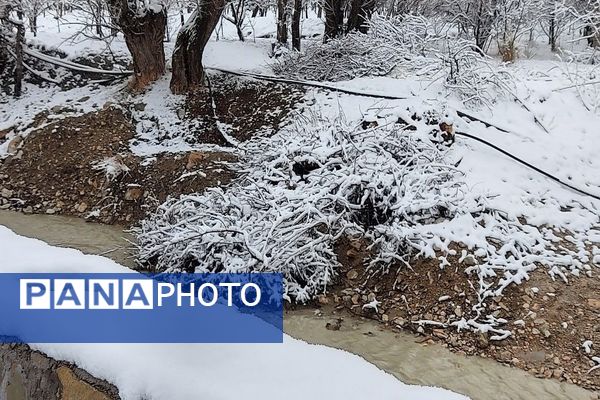 آسمان سخاوتمندانه نعمتش را در ماه شعبان به زمین شهر بار هدیه کرد