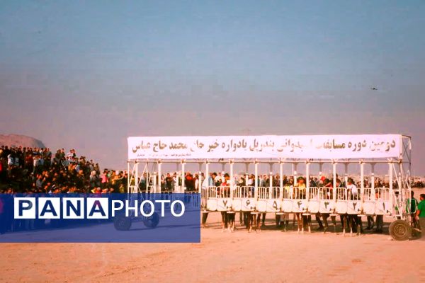 دومین دوره مسابقات اسب‌دوانی استان‌های جنوبی کشور در بندرپل