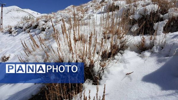 بارش برف در روستای اصقول سربیشه