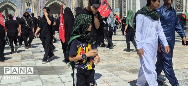 شکوهی از عشق و وفاداری در دل امام رئوف 