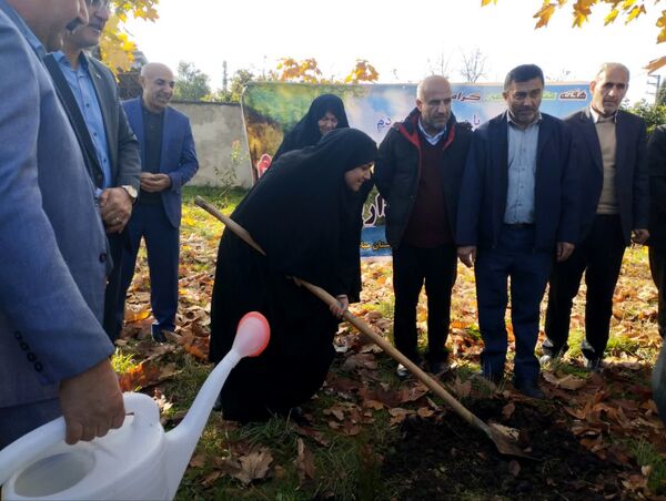 پویش سراسری کاشت نهال در سایه مادر همزمان با ایام ولادت حضرت زهرا (س) در میاندورود 