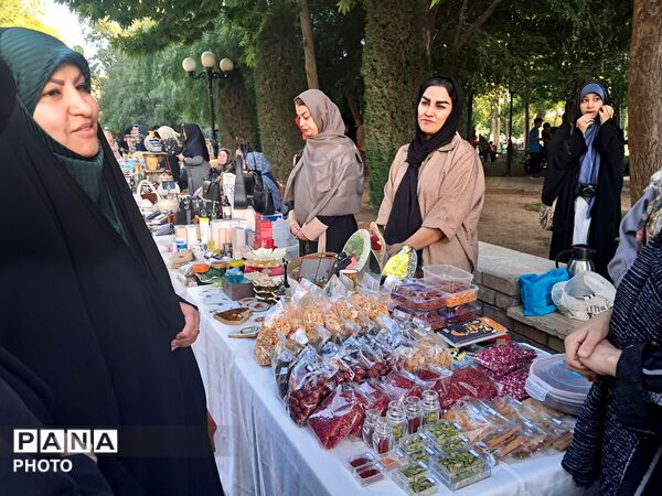 پویش «تکیه گاه» در پارک باغ ایرانی کرج 