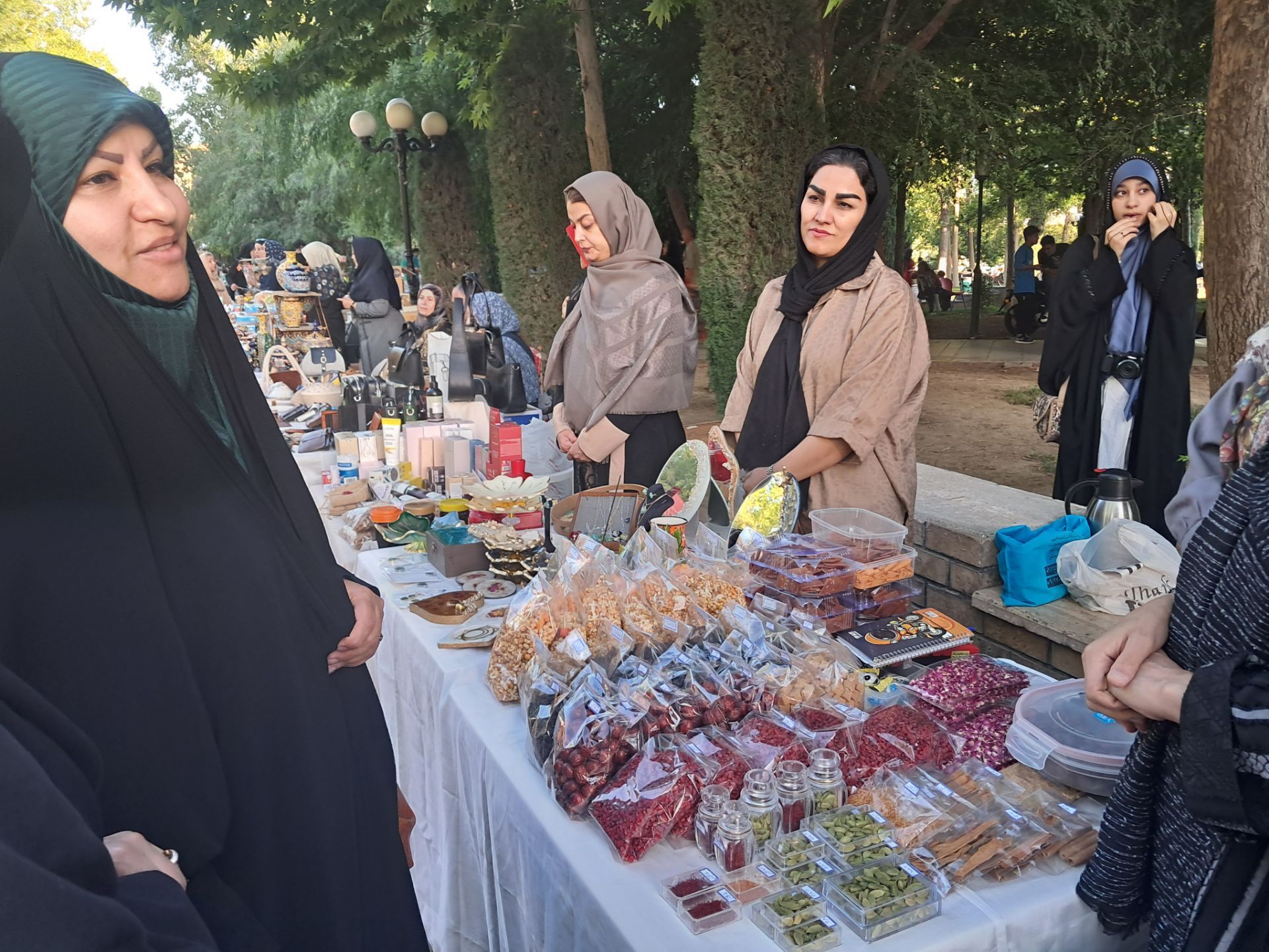 پویش «تکیه گاه» در پارک باغ ایرانی کرج 