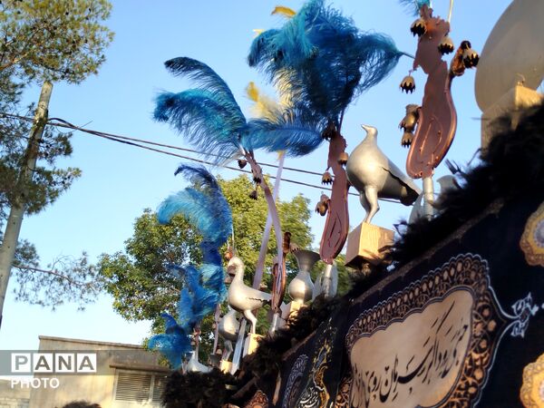 دسته بنی اسد در کاشمر 