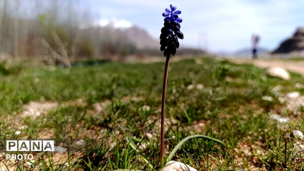 بردنکان؛ یکی دیگر از جاذبه های گردشگری روستای ده‌چشمه