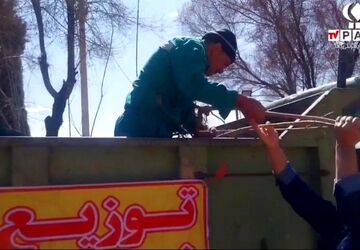 توزیع نهال  در پارک ملت شهرضا به مناسبت روز درختکاری