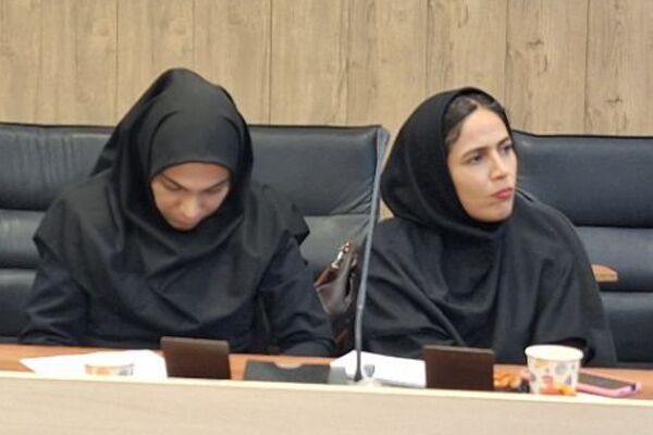 برگزاری کارگاه آموزشی و توانمندسازی مشاوران در بهارستان‌دو