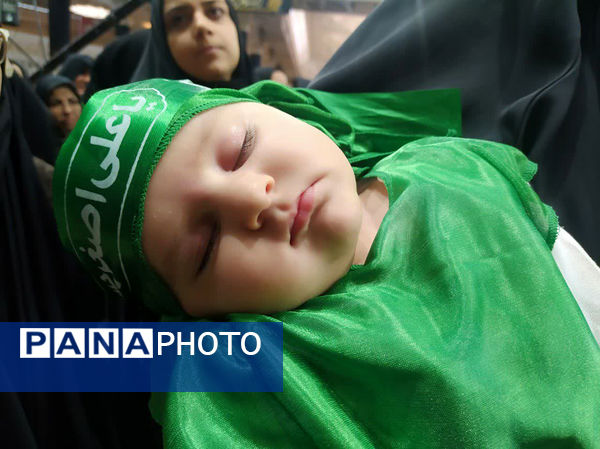 همایش شیرخوارگان حسینی(ع) در قم - 2