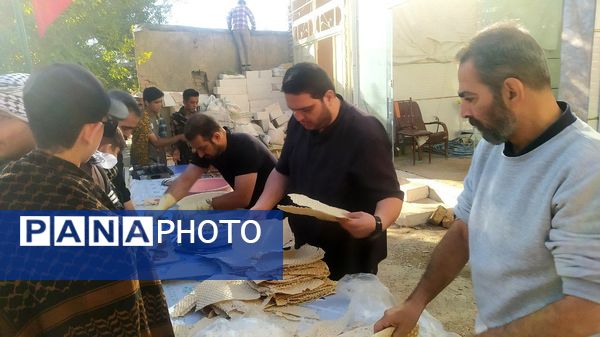 حرکت عاشقان به سوی مشهد الرضا(ع)