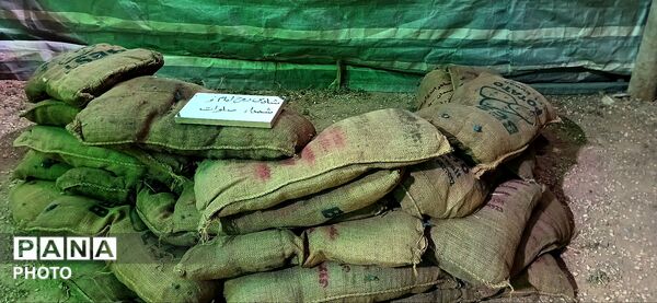 بازآفرینی حماسه کربلا در قاب نمایشگاه