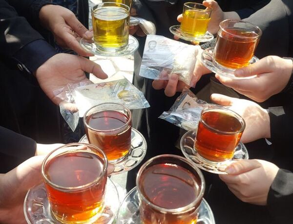 زیارت ضامن آهو 
