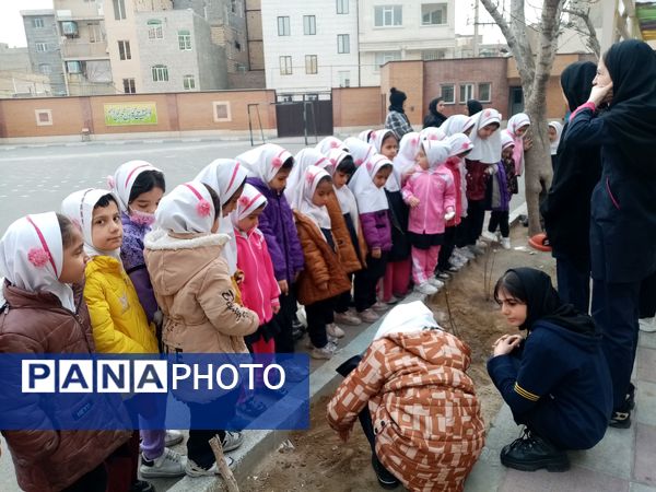 زینت بخشی مدارس شهرستان قدس با کاشت نهال های جوان
