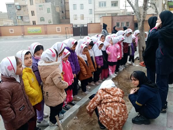 زینت بخشی مدارس شهرستان قدس با کاشت نهال های جوان