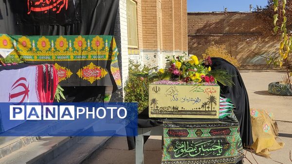 پرستو بی‌نام  در آشیانه شهر دستنا 