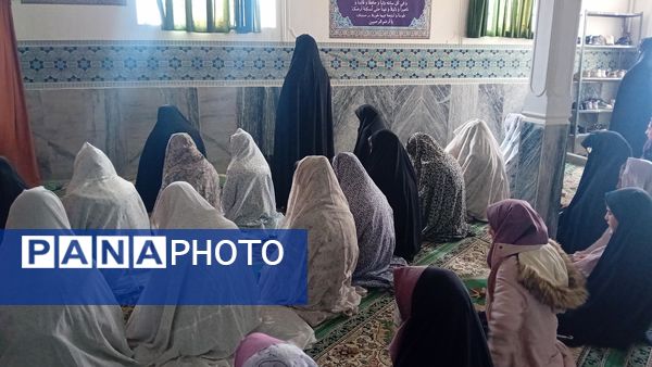 اردوی تمشک در شهرستان شازند 