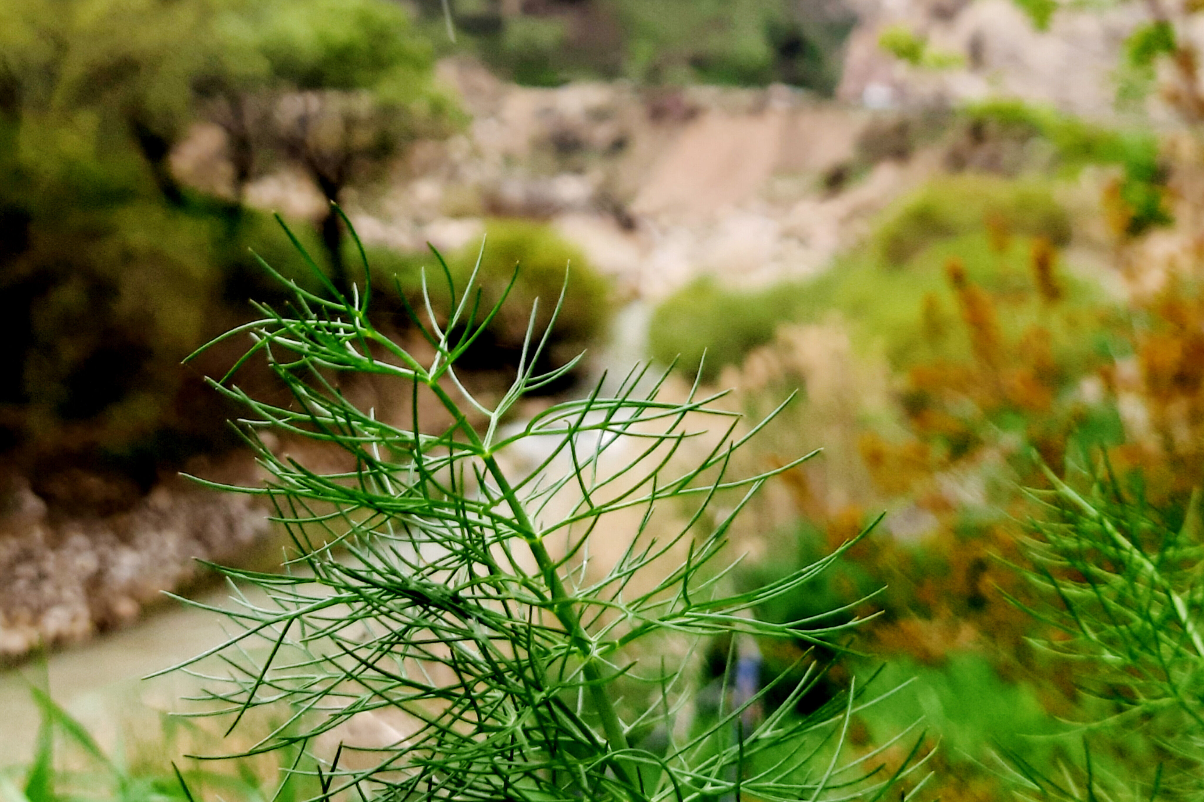 طبیعت دِراز‌رود؛ زیباترین تابلوی سبز لردگان