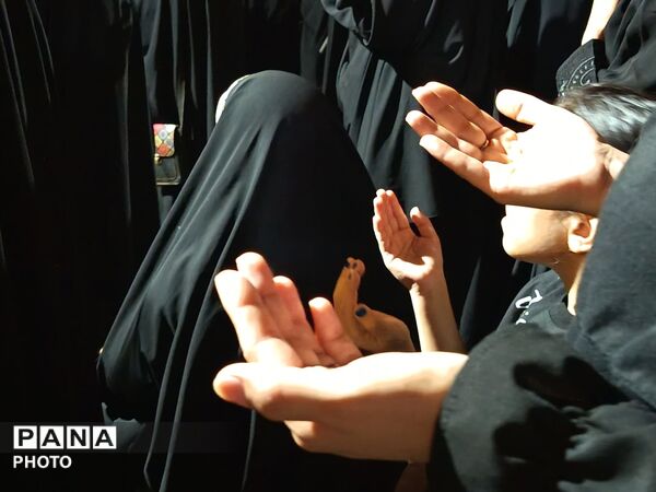در شب صد و سی و سوم،بلوار فضل میزبان کشور دوستان وطن