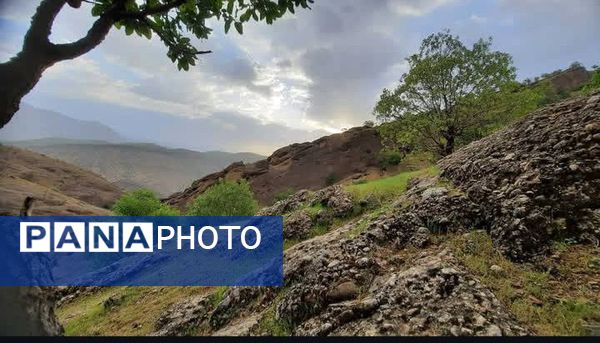 طبیعت سر سبز رفن به هنگام بهار