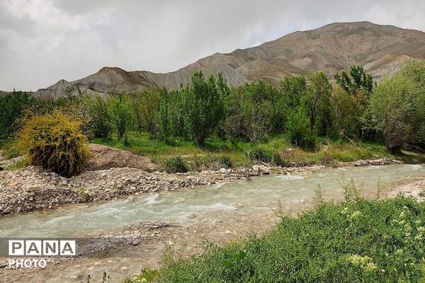 آلبوم تصویری از طبیعت زیبای شهر بار در اردیبهشت‌ماه  ۱۴۰۵ـ۲