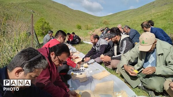 همایش پیاده‌روی ادارات در شهرستان دهگلان