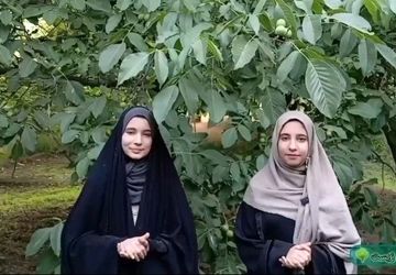 تمیزی محیط زیست، مسئولیتی همگانی برای آینده‌ای سبز