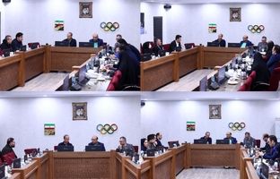 جلسات تخصصی کمیته ملی المپیک با مسئولان و کادر فنی ۴ فدراسیون ورزشی