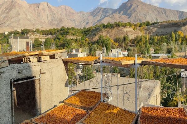 فصل زیبای پاییز در شهر بار نیشابور 