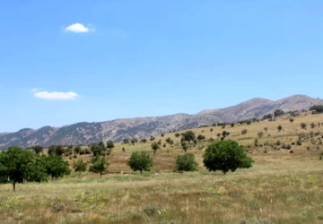 مشارکت مردمی، بهترین راهکار حفظ محیط زیست