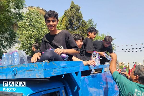 پیاده‌روی جاماندگان اربعین به سوی شاهچراغ (ع)