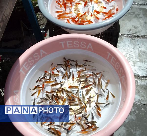 جاذبه‌های دیدنی شهرکرد برای عید نوروز