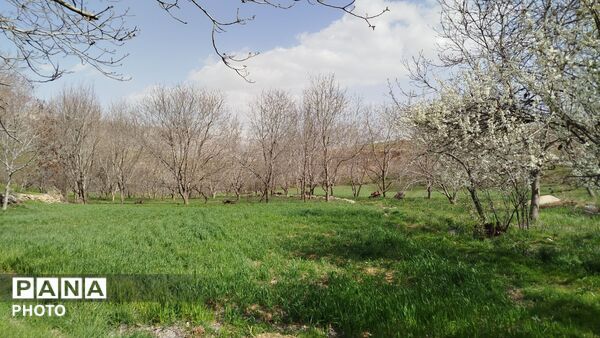 زیبایی‌های دره‌باغ؛ مجموعه‌ای از تصاویر بکر و دیدنی