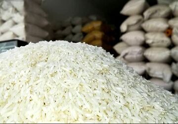 واردکنندگان برنج در انتظار ارز، مجوز و قرارداد با شرکت دولتی