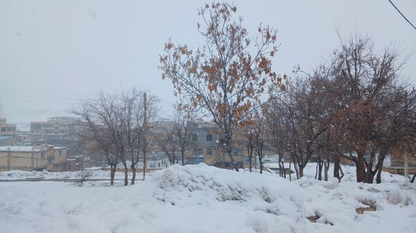 چهره زمستانی شهر فارسان 