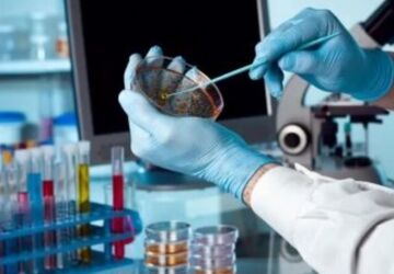 روز ذخایر ژنتیکی و زیستی؛ هشداری برای حفظ گنجینه‌های طبیعی