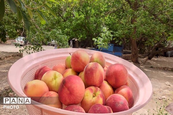 آبشار بار، نغمه‌ای از آب در دل طبیعت